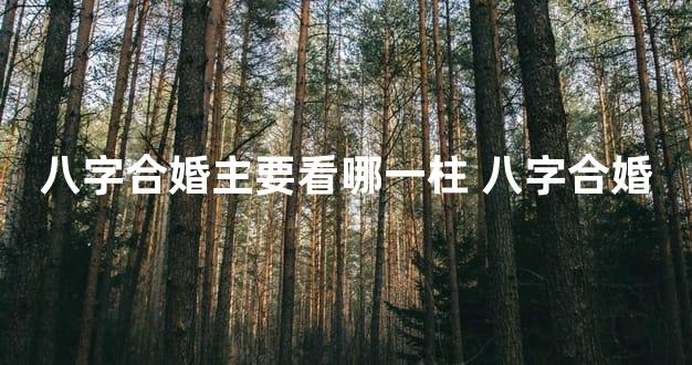 八字合婚主要看哪一柱 八字合婚